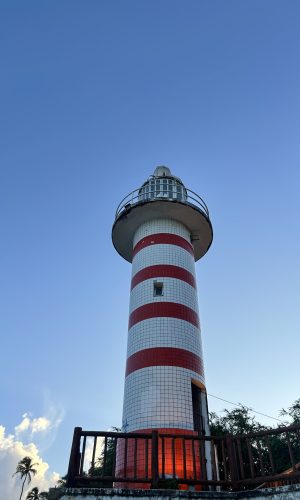 IMG_1953 IMG_1953